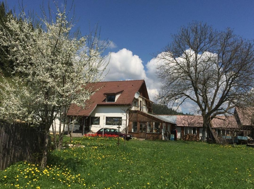 Karacsony Guest House Lunca de Sus 외부 사진